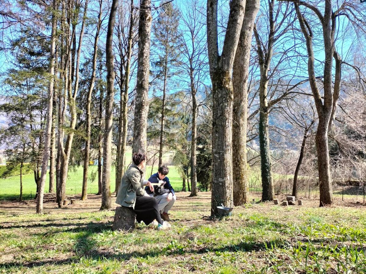 Foresteria Miramonti Affittacamere Fiavè Exteriér fotografie